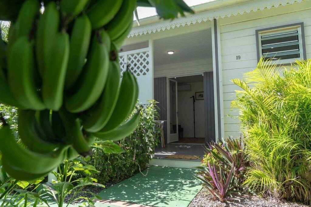 Perle Des Caraibes, Bungalow Moderne N°18 Ле-Гозье Экстерьер фото